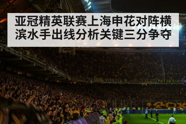 亚冠精英联赛上海申花对阵横滨水手出线分析关键三分争夺(NG28)