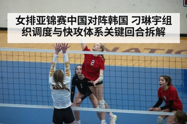 volleyball setter action